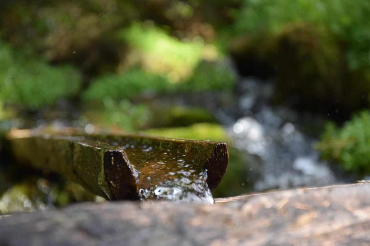 Badl Im Muehlbacher Talile Gais Exteriör bild